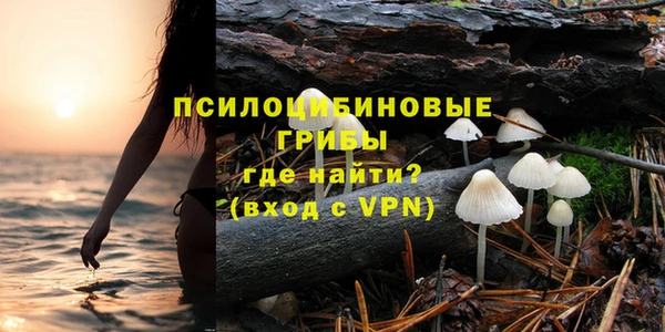 марихуана Абаза