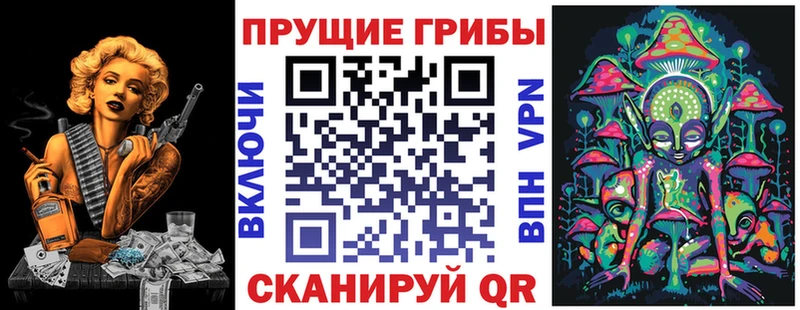 Галлюциногенные грибы Psilocybine cubensis  Александровск-Сахалинский 