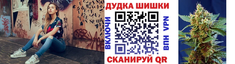 как найти наркотики  Александровск-Сахалинский  Бошки Шишки White Widow 